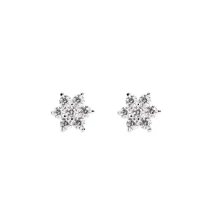 Glint Silver Earrings