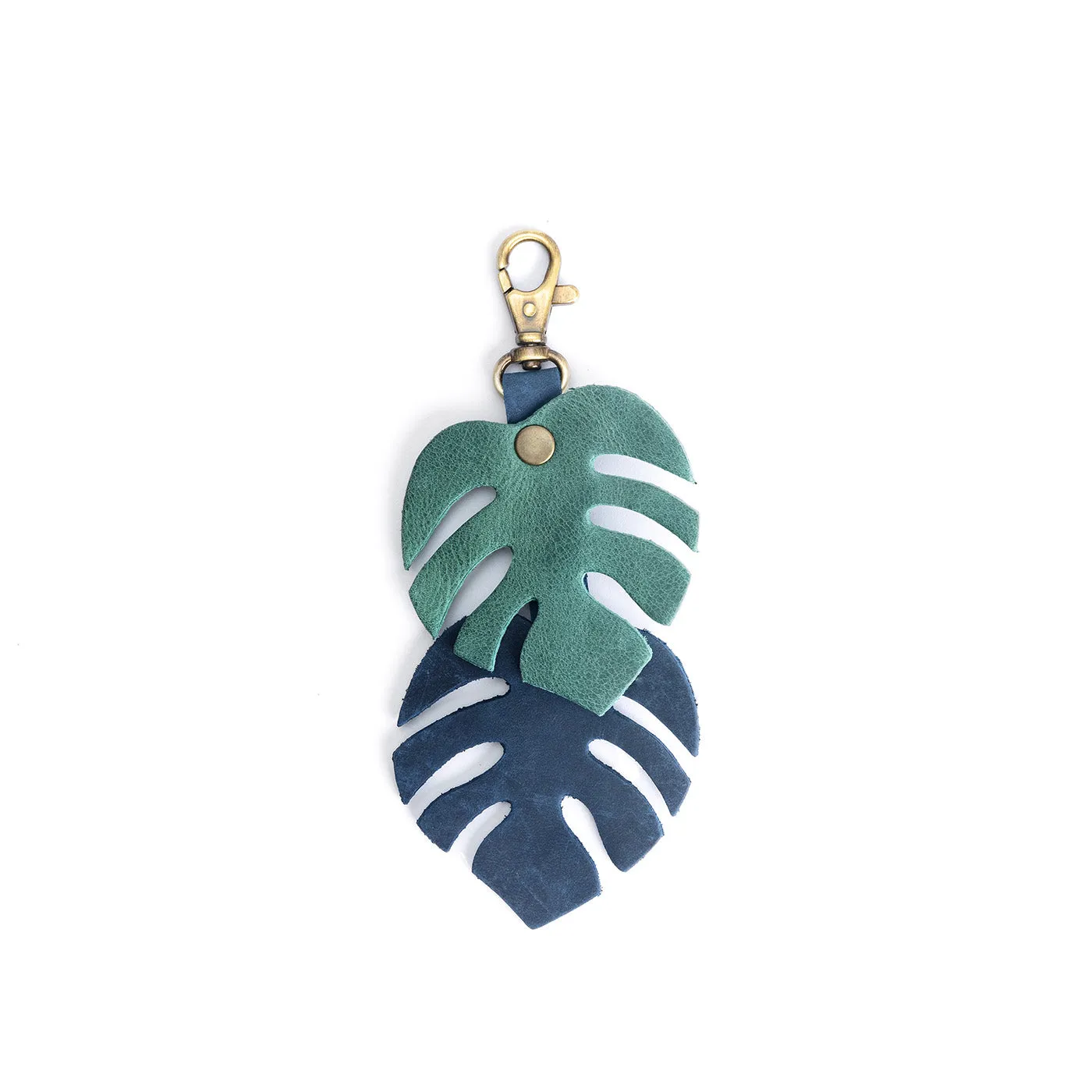 Monstera Charm