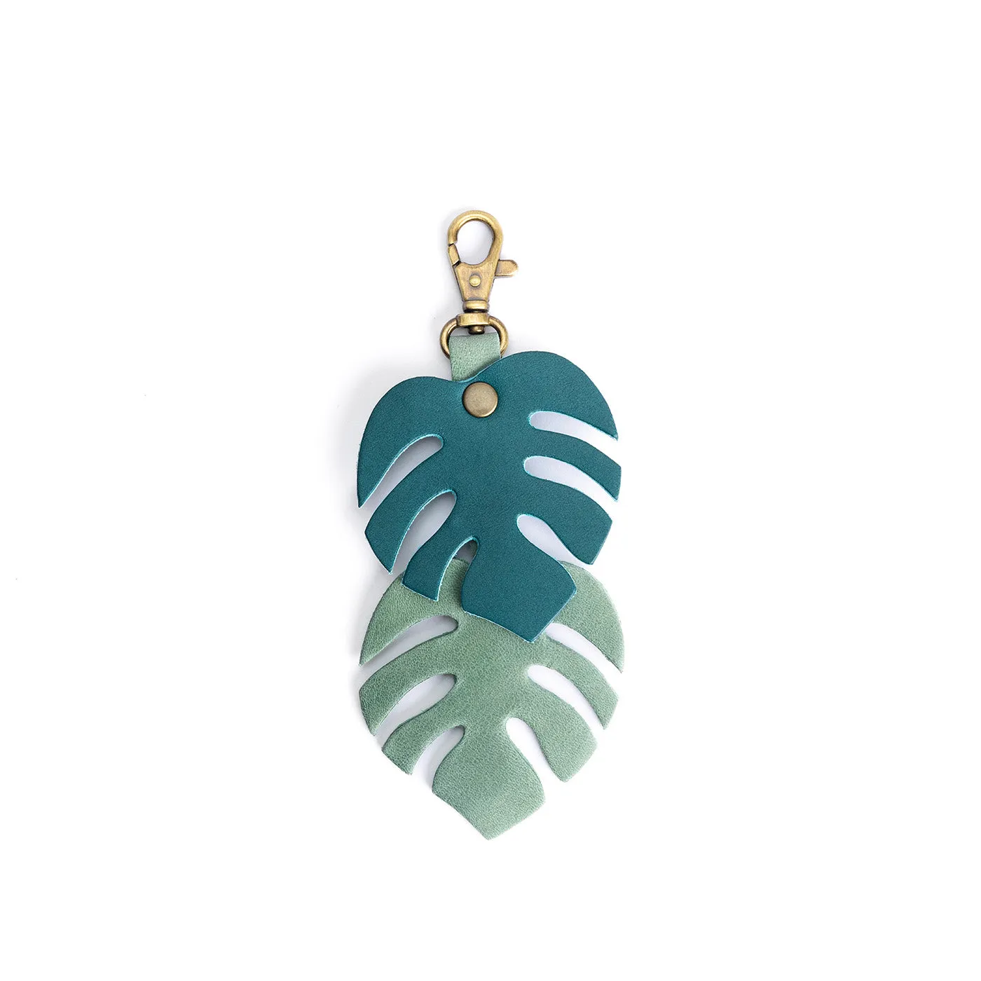 Monstera Charm