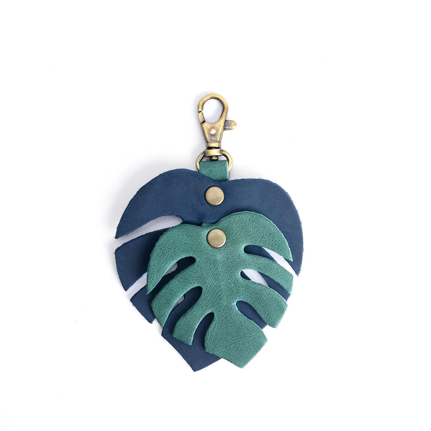 Monstera Charm