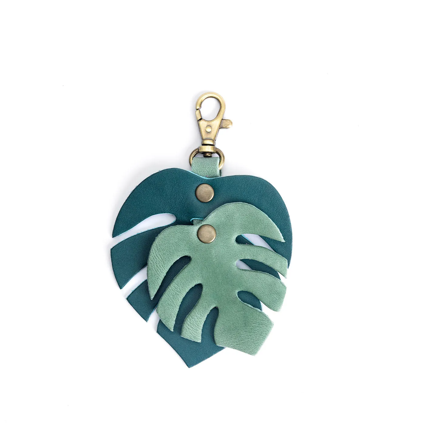 Monstera Charm