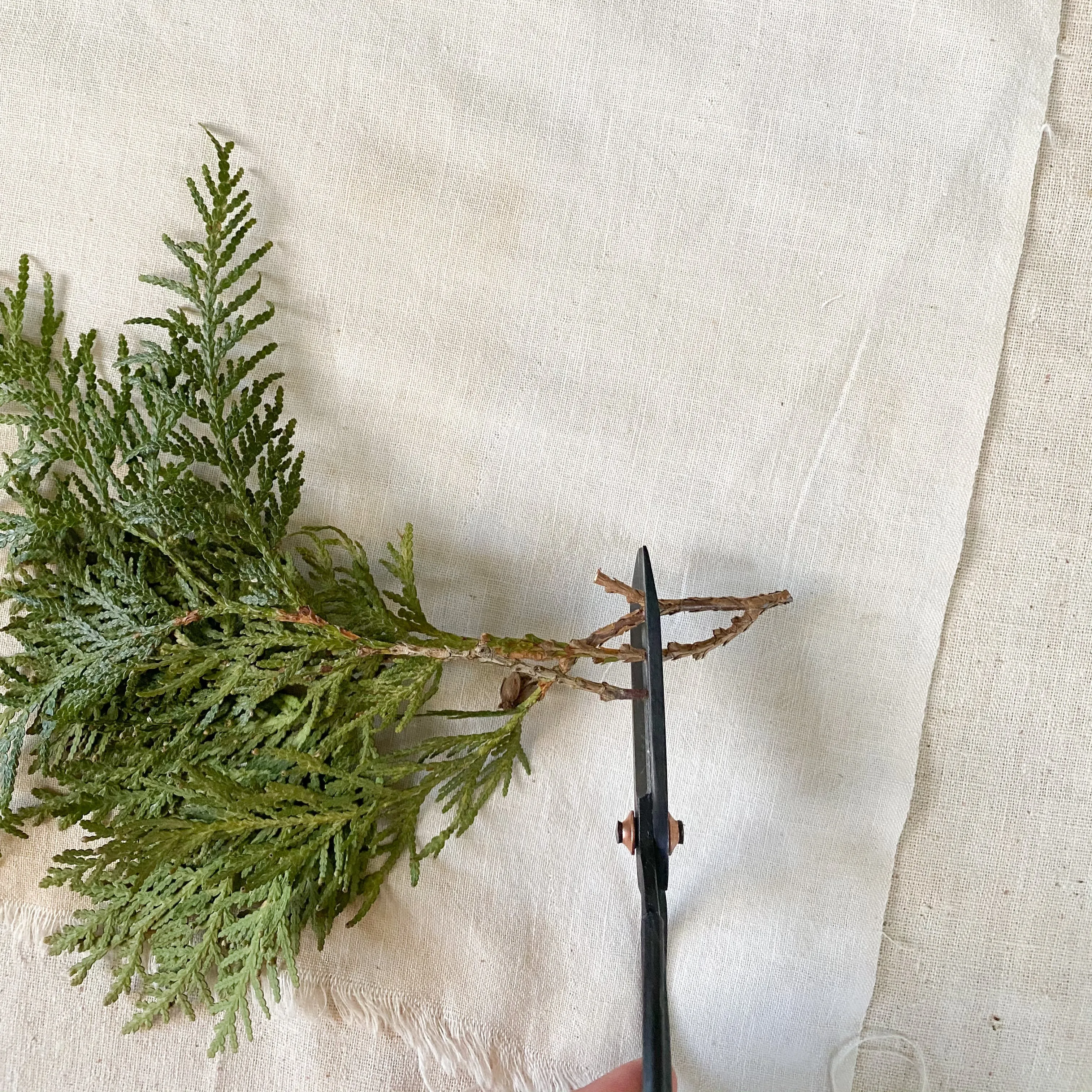 Vintage style scissors